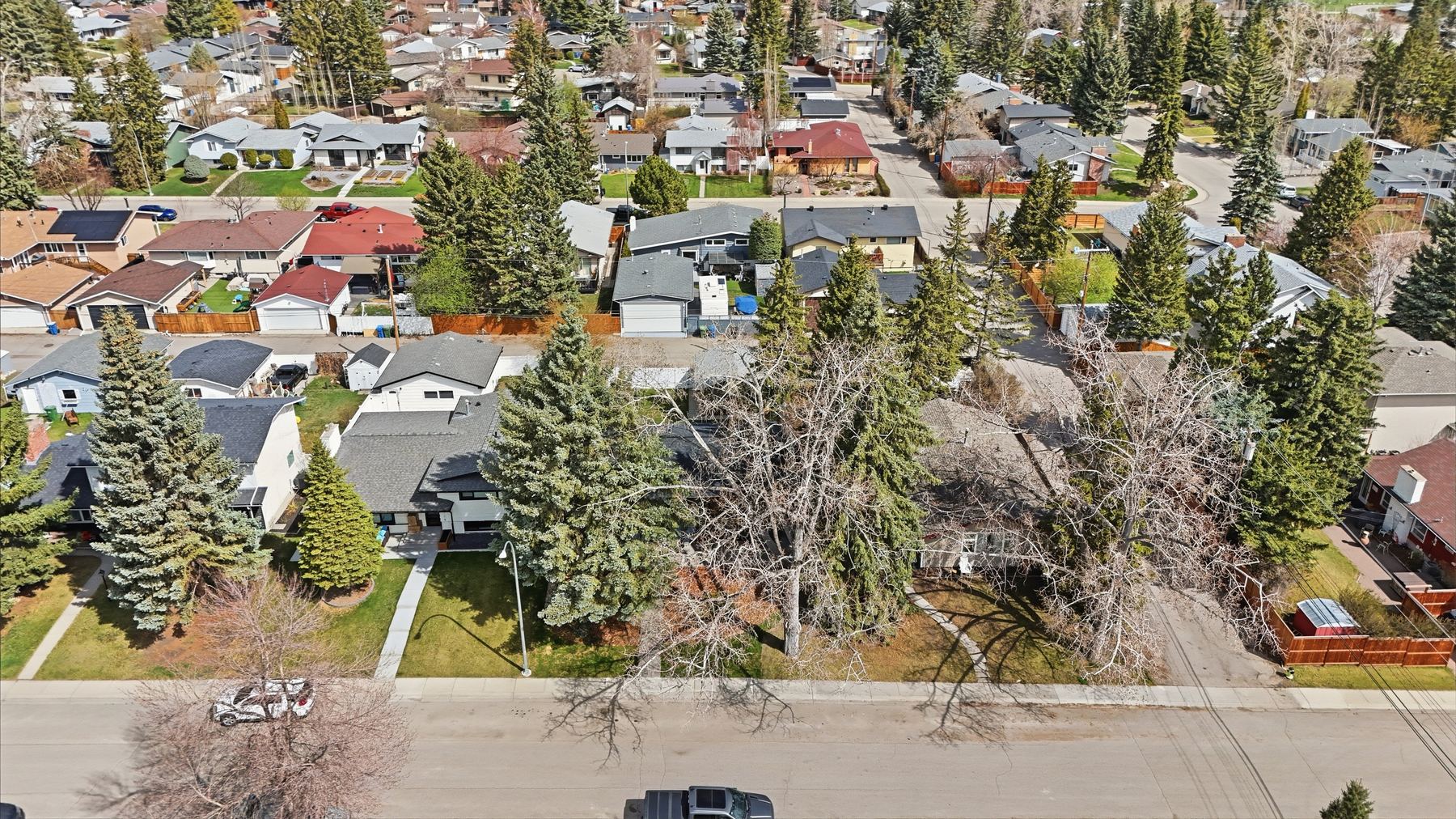 Aerial of Lake Bonavista — established trees, low-rise residential streets